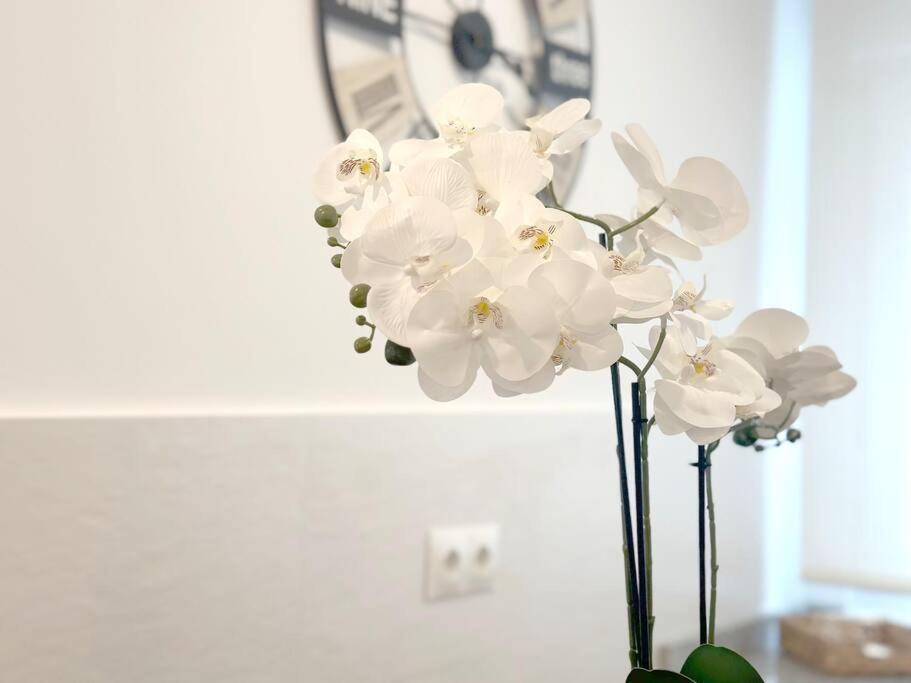 Apartamento Reformado En Santona Luaran gambar